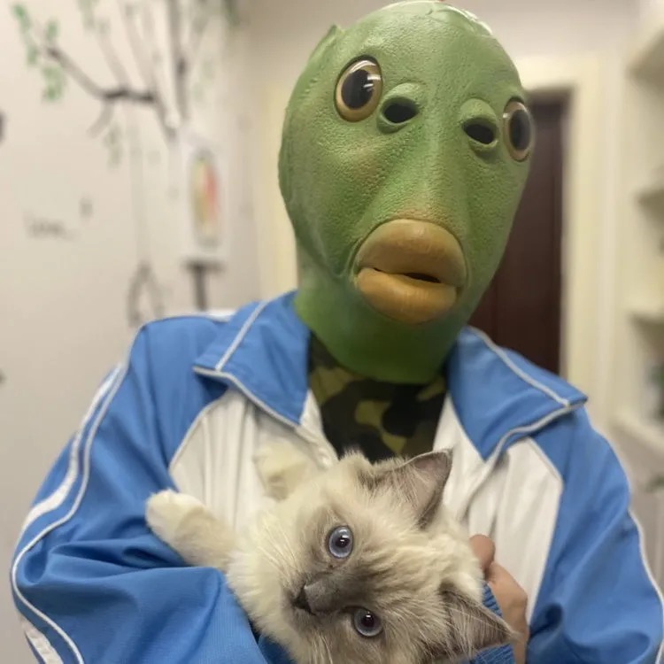 抖音沙雕红全人网绿鱼怪怪鱼头搞笑面具