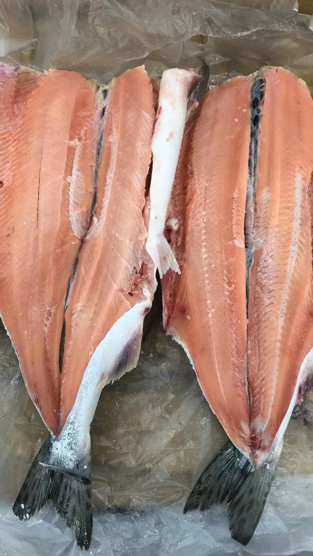 延边特产朝鲜族新鲜松鱼海鲜海鱼冷冻水产鲜松其它