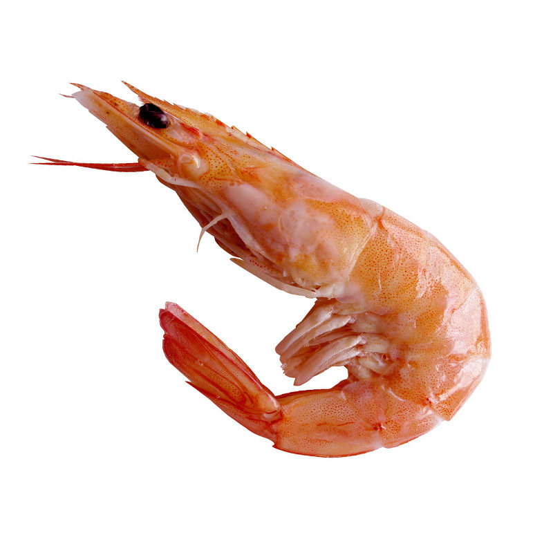 新鲜鲜活基围虾明虾大对虾海虾深海白虾活虾斑节活虾