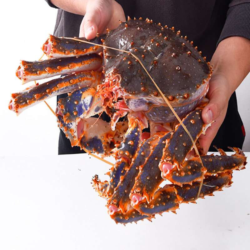 新鲜阿拉斯加帝皇蟹 鲜活长脚蟹 智利帝王蟹珍宝蟹特大螃蟹3 7斤 - 爱