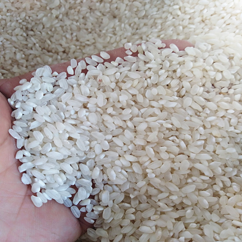 贵潮米10斤包邮贵州特产米桂朝米潮糙米凉粉凉皮米豆腐米粉专用