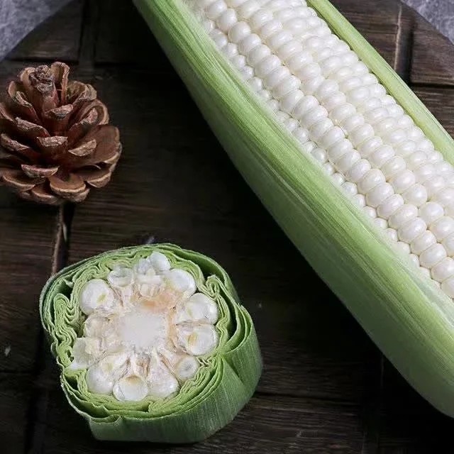 玉米微玉可以孕妇新鲜白新鲜冰糖牛奶玉米棒68根新鲜玉米