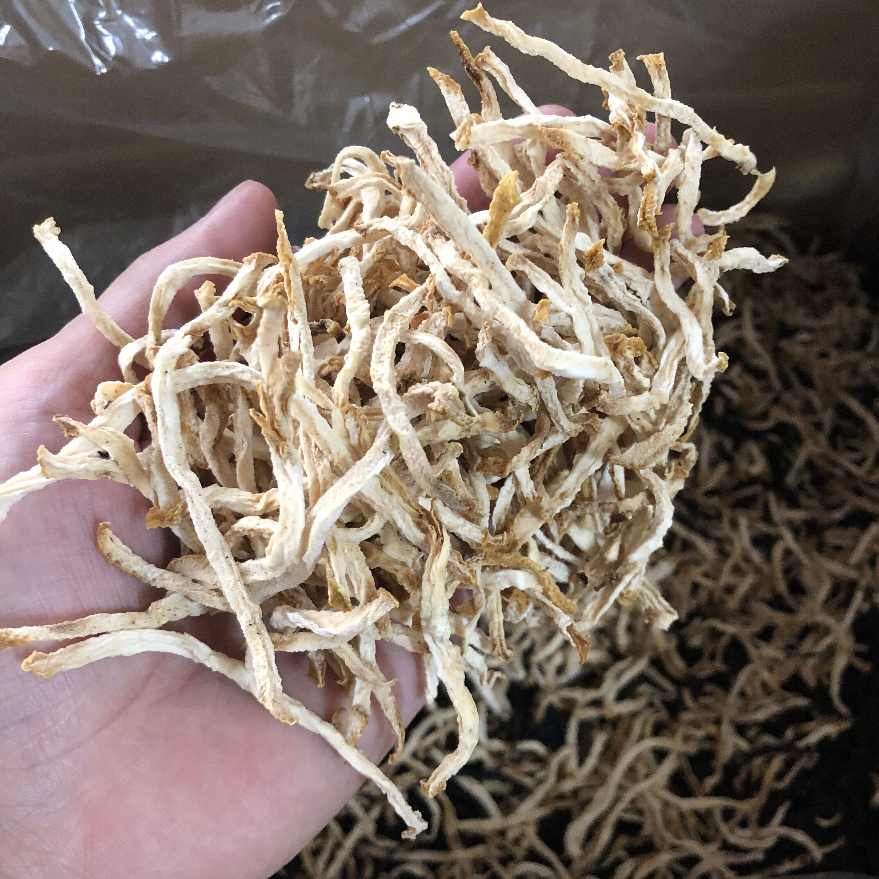 佛手香橼原料专用干丝150克潮汕揭阳特产佛手