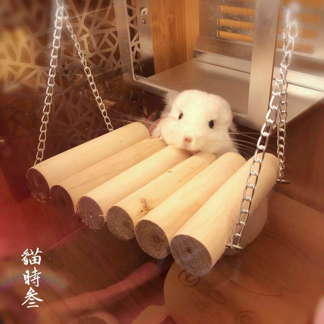 猫时叁龙猫兔子豚鼠松鼠仓鼠熊秋千软桥玩具家具踏板平台