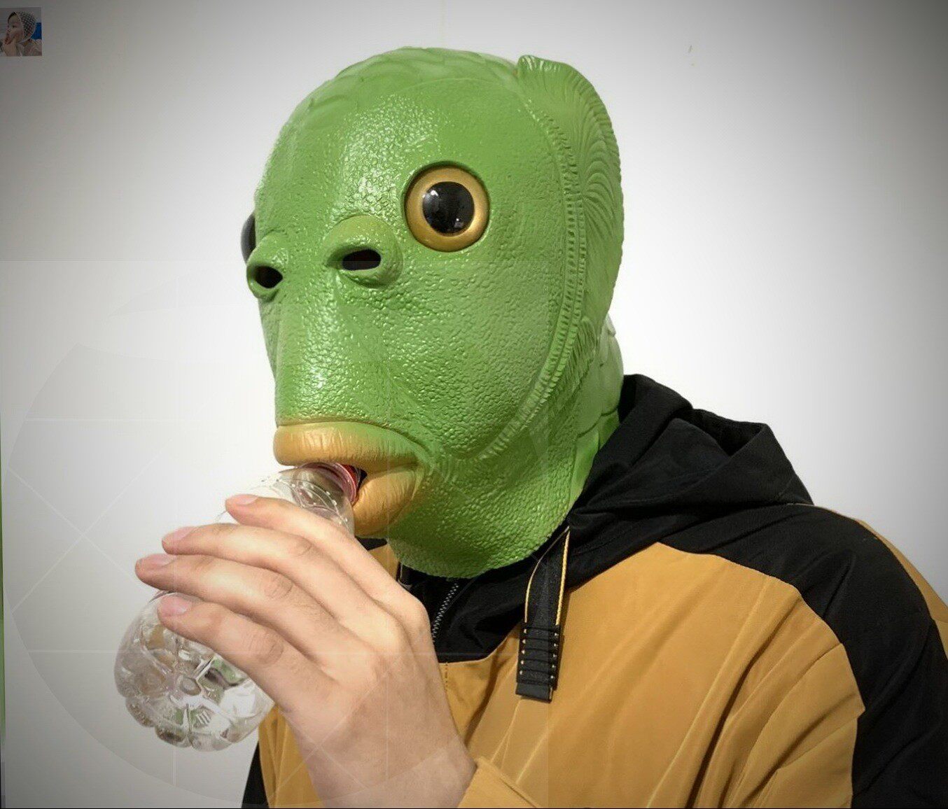 疯狂动物外星人头套绿色鱼人面具绿鱼人面具