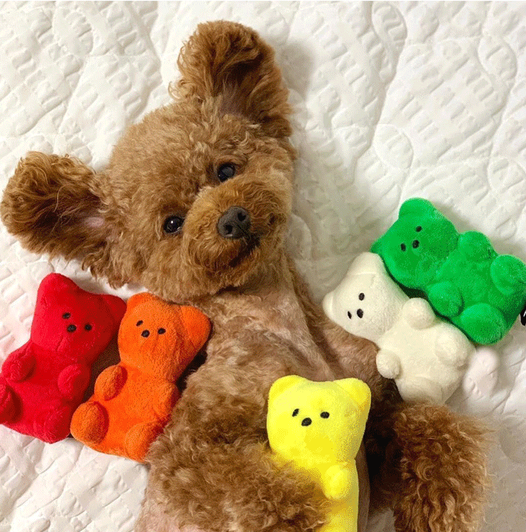 玩具ins熊泰迪夏陪伴约克泰迪犬比小熊小型宠物发声玩具