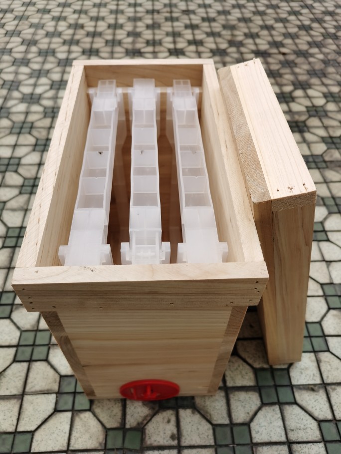 中蜂意蜂交尾箱育王箱泡沫蜂箱育种箱大棚授粉箱国宝箱小型交尾箱