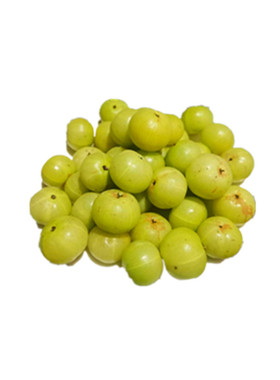 现摘5斤新鲜油甘果牛甘子油柑干果