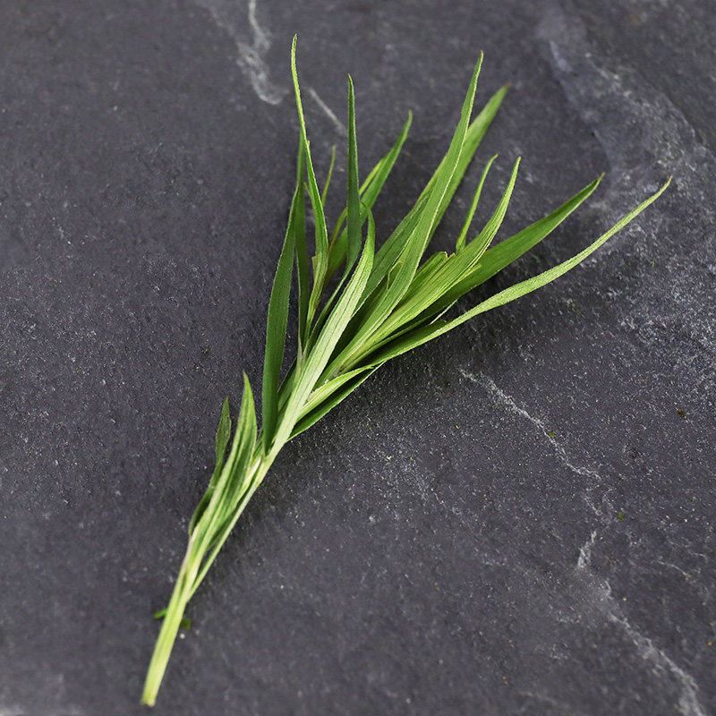 竹叶散装崂山石竹茶叶野生新鲜正品500g搭配组合型花茶