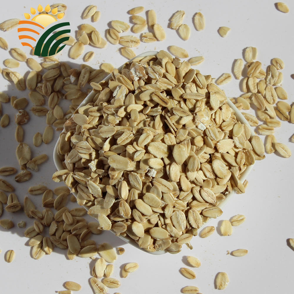 武川乡村燕麦片内蒙古特产农家肥种植裸燕麦五谷杂粮三高主食包邮