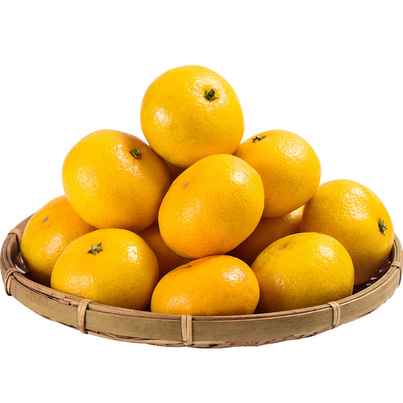 现摘美人冰糖10斤黄皮当季橘子整箱新鲜桔子桔子