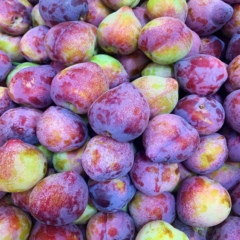 李子东北干核牛心鸡心吉盛干碗香蕉酸甜大红李子