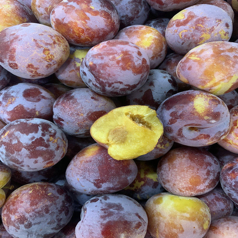 李子东北北秋干核干碗脱骨小李子非大红袍5斤李子