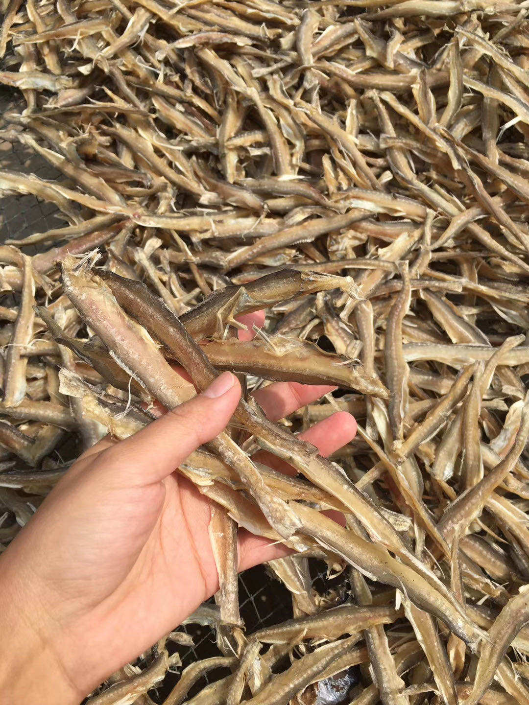 鱼干半斤福建野生龙头九肚咸鱼干豆豆腐海鲜鱼干