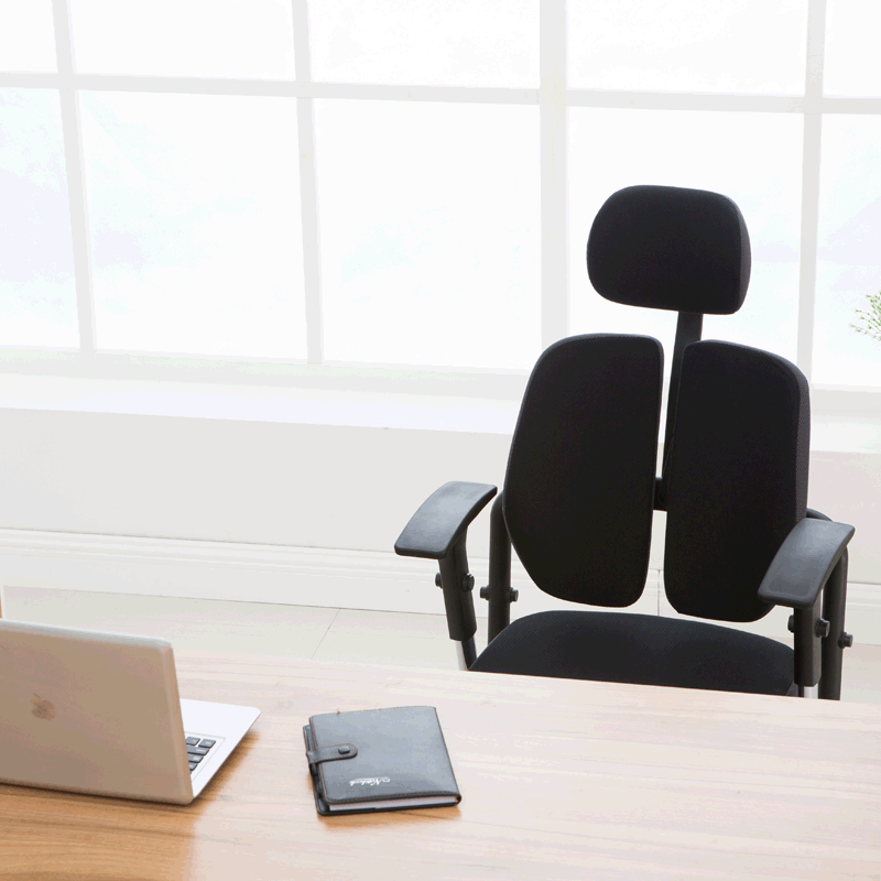 大康人体工学椅子家用电脑椅网布可躺办公椅现代简约护腰双背转椅