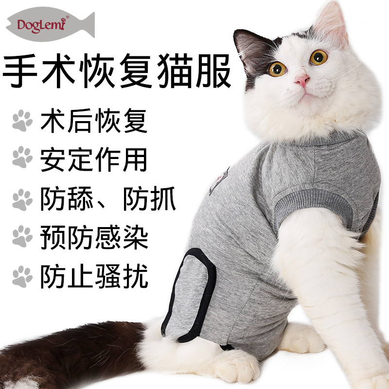 doglemi多乐米猫咪绝育衣服猫猫手术服断奶服公母猫夏天术后防舔