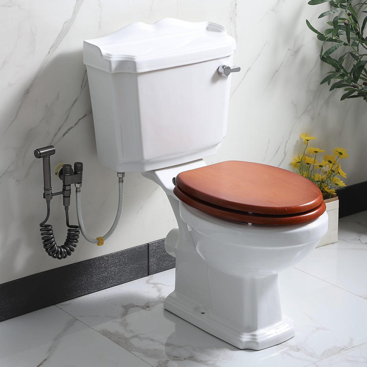 美景英式墙排复古分体马桶欧式侧排横排个性普通坐便器