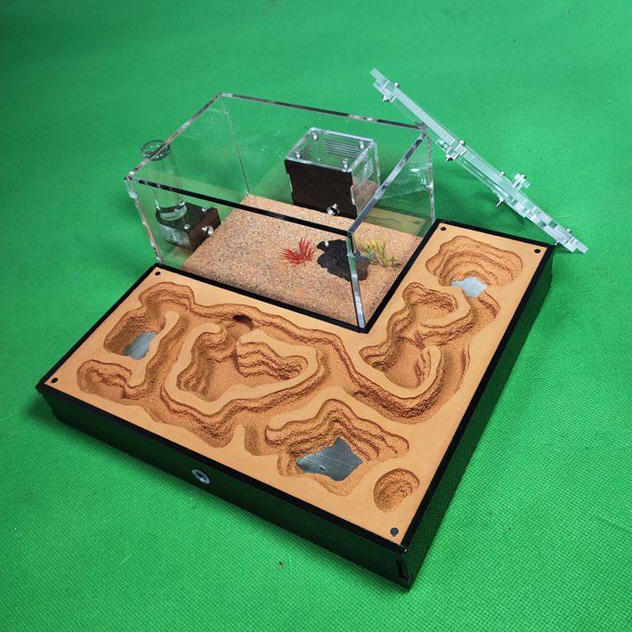 蚂蚁蚂蚁城堡cc宠物新型蚁窝生态蚁巢工坊别墅蚂蚁