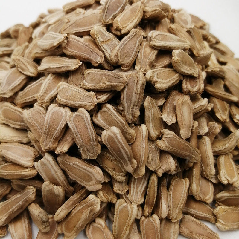 首页 下载app                          中药材500g葫芦子葫芦籽瓢