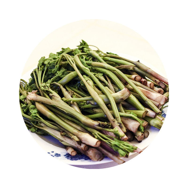 东北北山山野山野菜菜猫爪子野菜新鲜酱菜500克其它