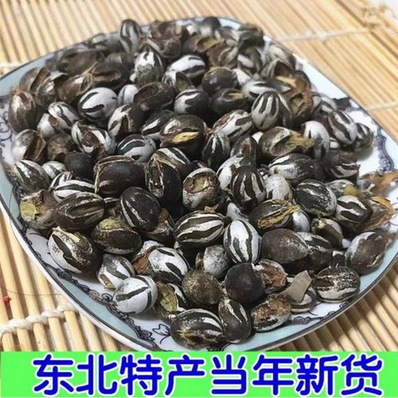 洋拉灌小伙东北特产野生杨辣子罐波刺毛一份100克包邮童年的回忆