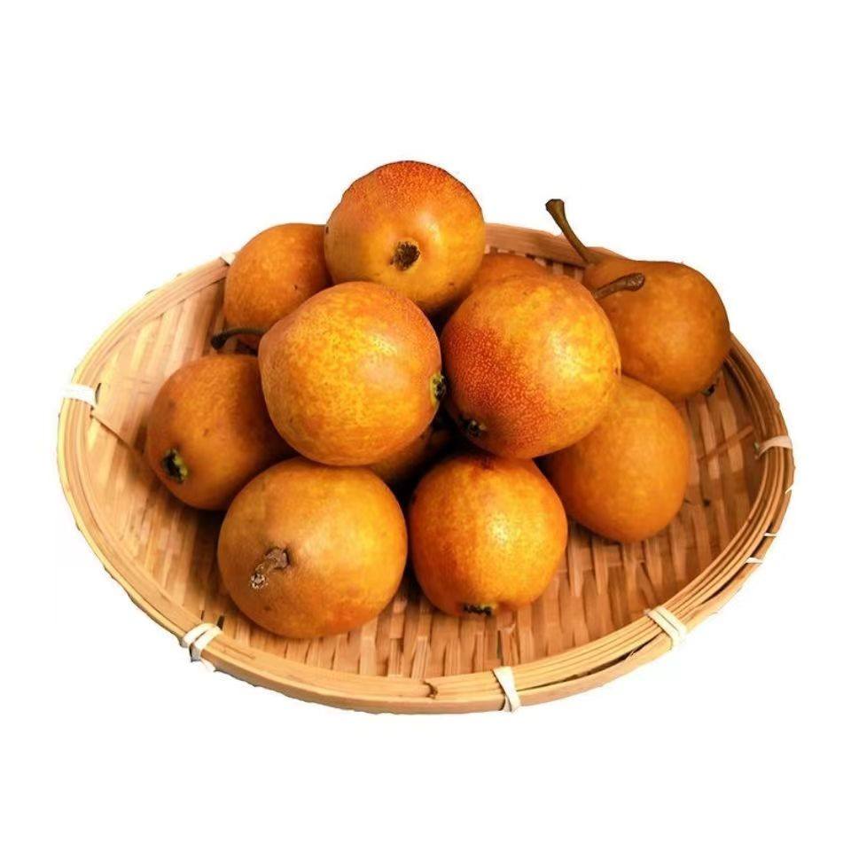 东北正宗酸梨特产冻梨葫芦3斤5斤顺丰包邮软梨