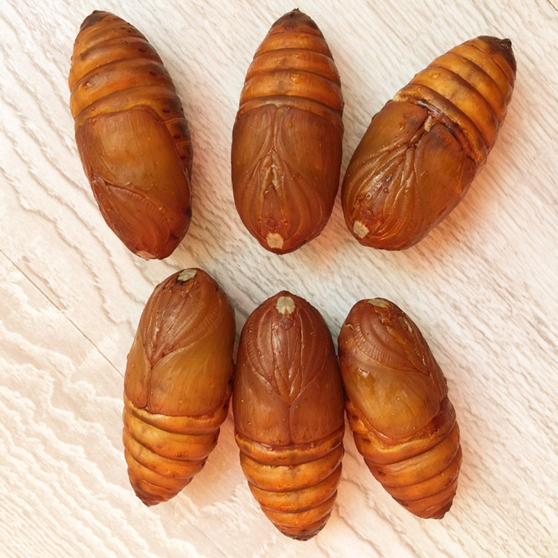 蚕蛹小伙东北特产野生柞蚕蛹特选大黄蚕蛹500g特价2斤包邮茧蛹