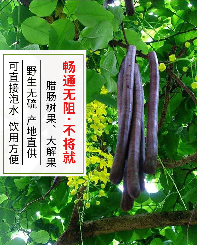 {买三送一}便秘果大解缅甸500g腊肠树清肠润肠通随宿便果非番泻叶