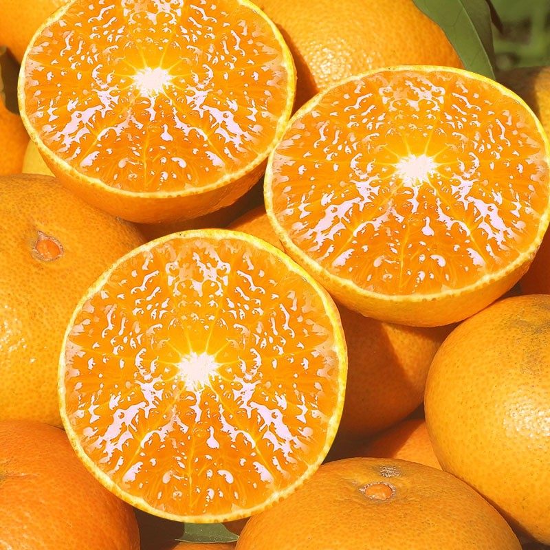 四川爱媛38号果冻8斤果粒橙新鲜橙子当季孕妇橙