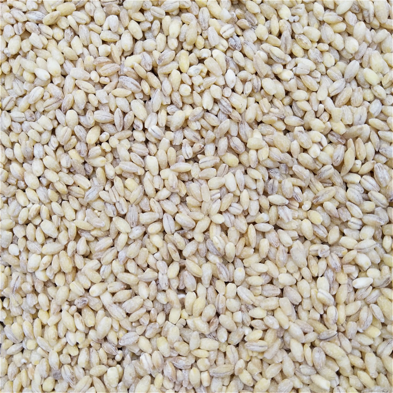 新货农家新鲜大麦仁去皮麦仁大麦米散装八宝粥原料2500g5斤包邮