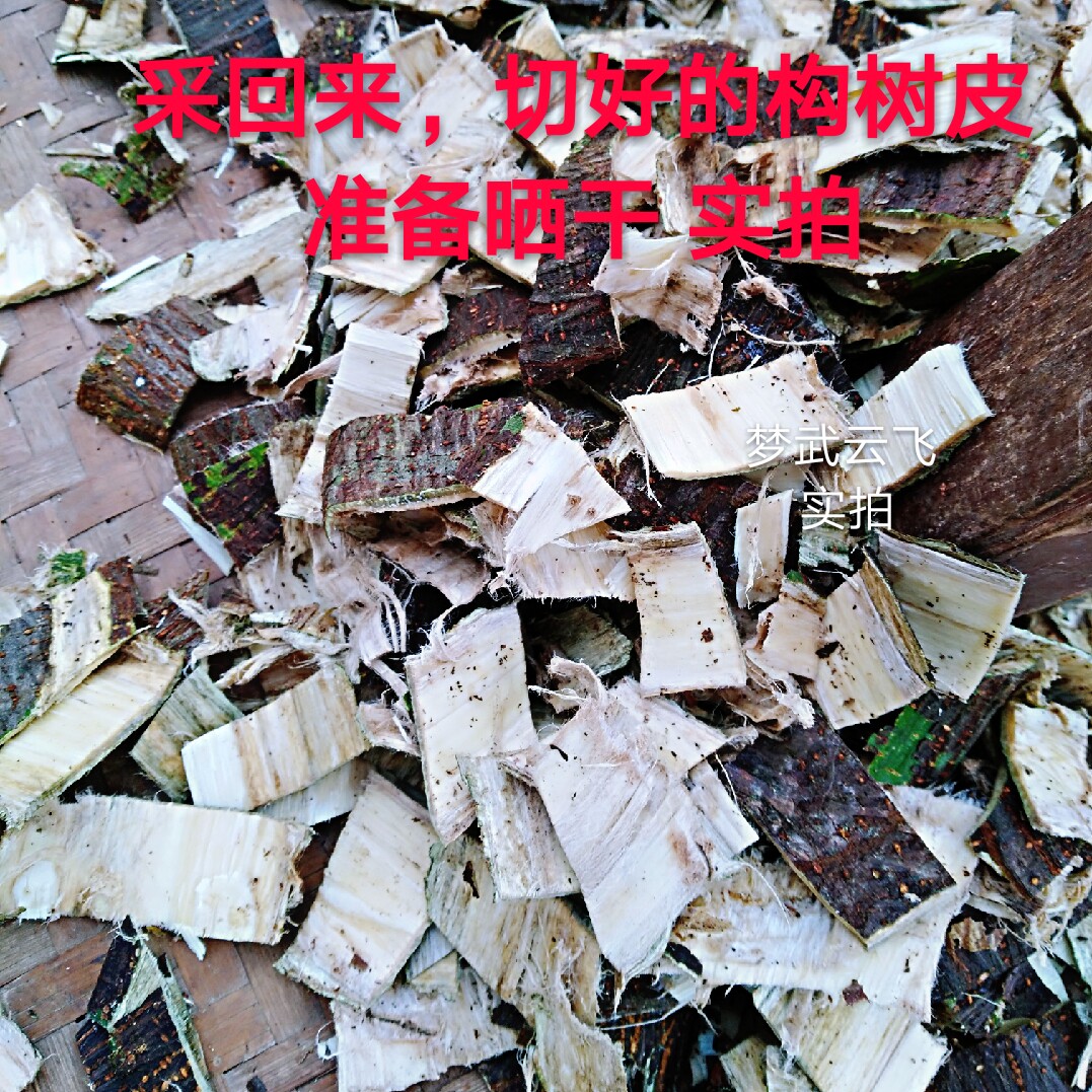 野生晒干药材树皮楮树白皮楮实皮谷木皮泡酒其他药食同源食品