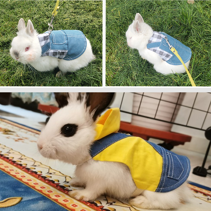 兔子衣服秋冬宠物兔遛牵引绳防挣脱外出背心服饰