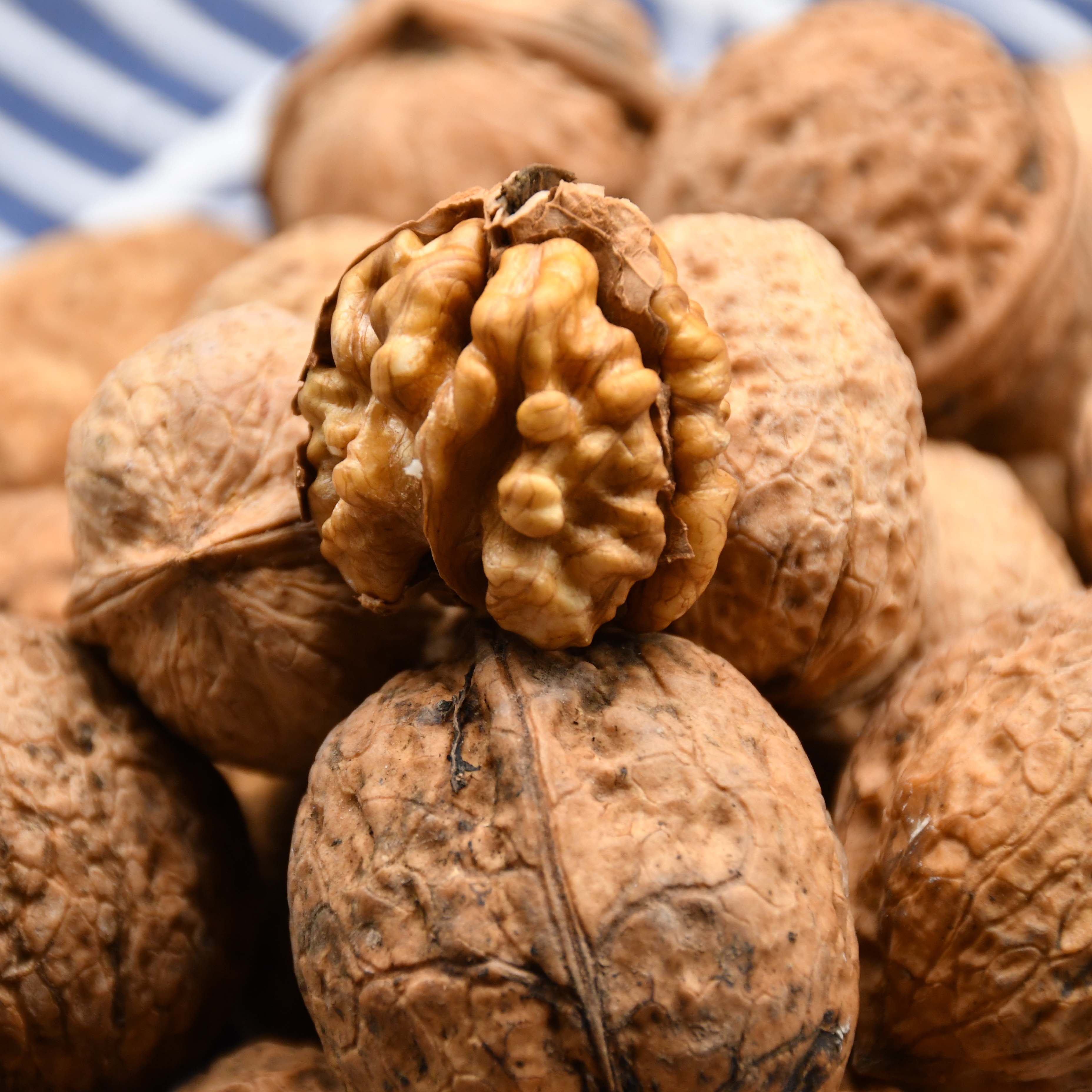 贵州毕节山核桃薄壳农家2020新货坚果孕妇薄皮纸皮