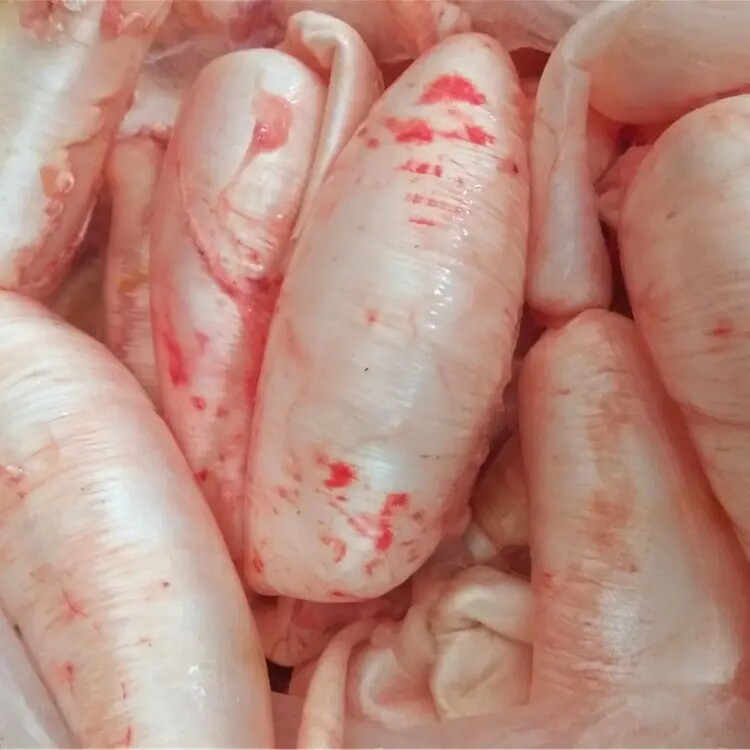 新鲜鱼鱼鳔发货包邮顺丰冷冻现杀鱼肚鱼杂花胶花胶