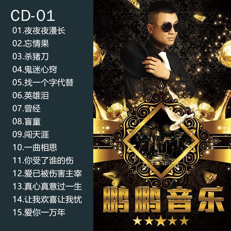 夜夜鹏鹏音乐夜夜夜漫长漫长流行音乐歌曲车用光碟汽车音乐cd