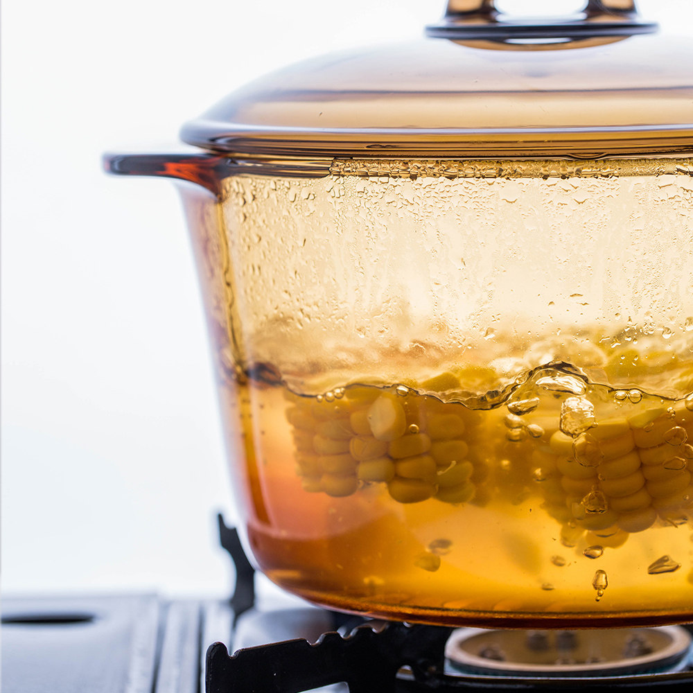 摩登主妇 明火直烧玻璃锅晶彩透明焖烧锅耐高温家用双耳汤锅炖锅