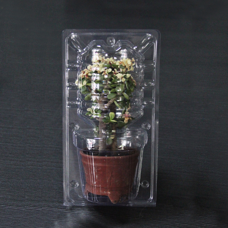 大号绿植盆栽运输保护花盒花苗包装盒pvc吸塑pvc包装盒