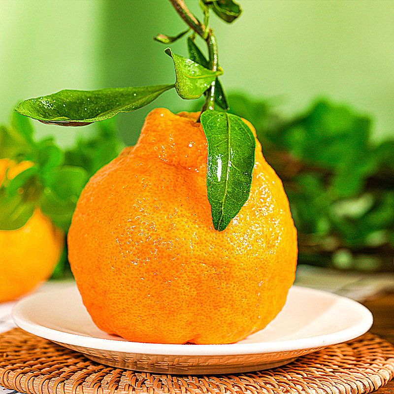 四川不知火丑橘当季新鲜水果整箱9斤包邮丑八怪橘子粑粑蜜桔柑橘