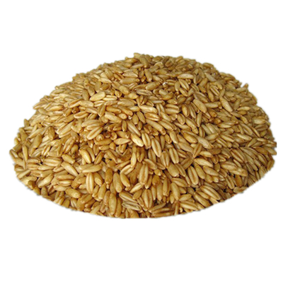 小杂粮莜麦500g*5袋高原旱地莜麦粒粗粮农家自产新货售价￥35累计销量