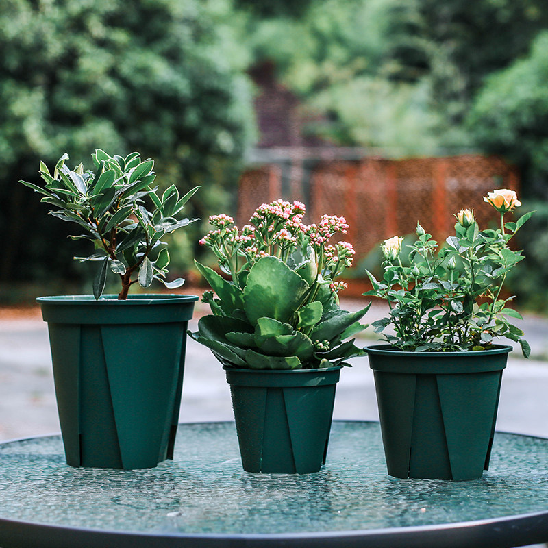 塔莎的花园 日本进口青山盆 园艺养花育苗透气透水控根塑料花盆