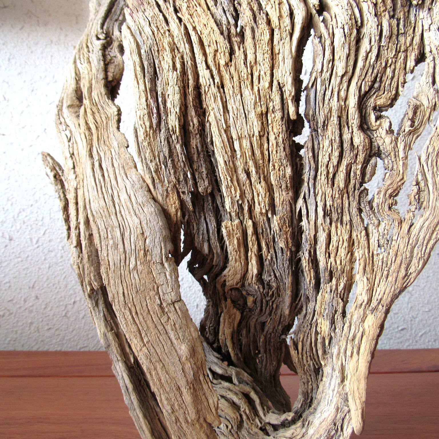千年胡杨风化枯木随形根艺工工艺品摆件自然原生态摆件