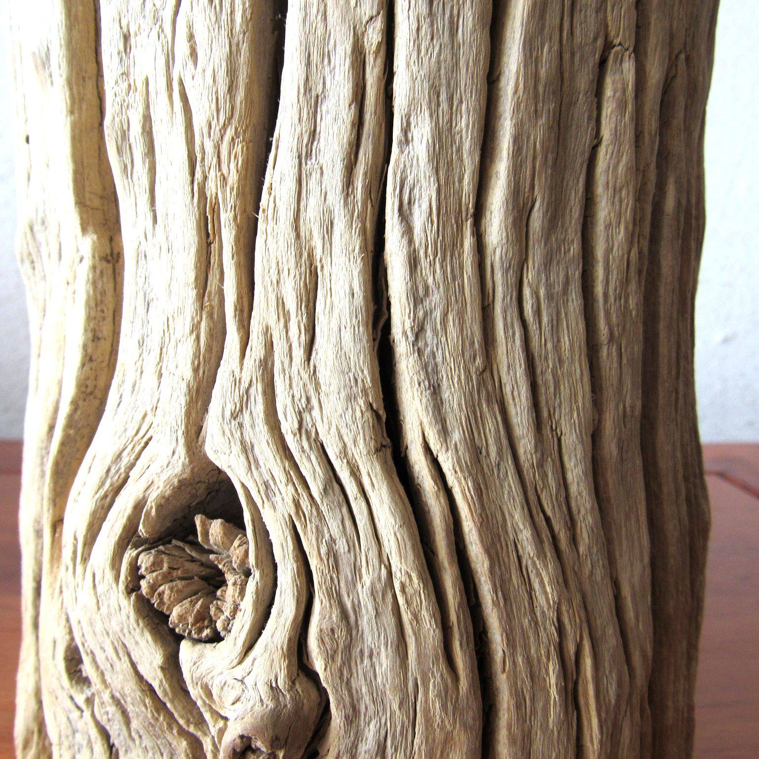 胡杨木客厅自然创意家居办公室书房电视柜摆件笔筒摆件