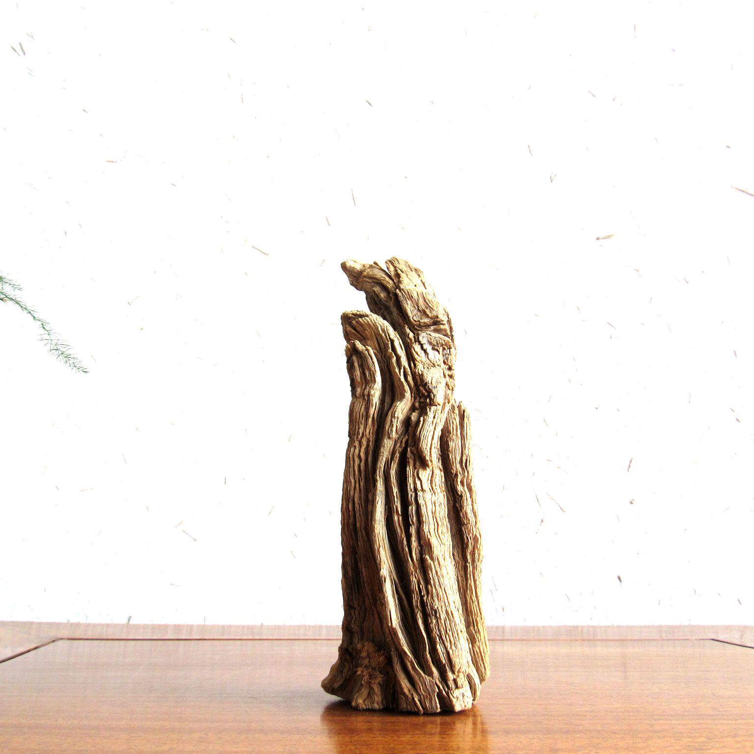 千年原生态家居式禅意中式摆件根艺自然胡杨木随形摆件
