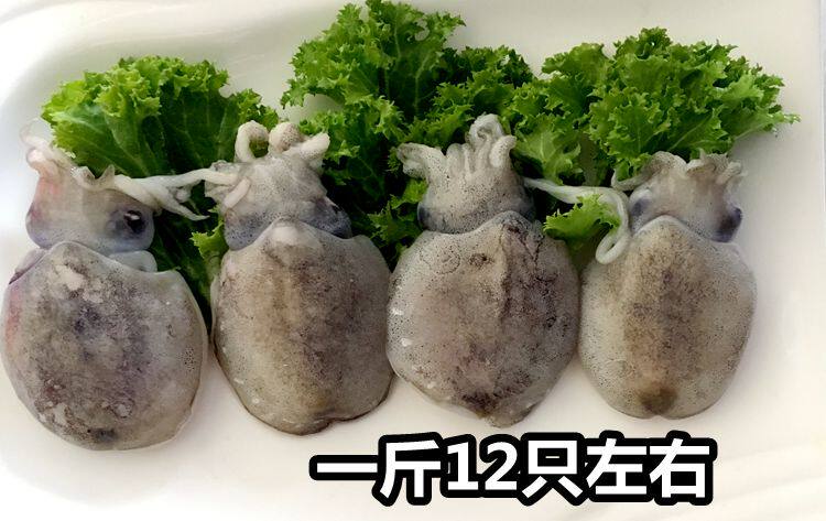 墨鱼鱿鱼新鲜墨斗鱼冷冻水产10元250g冷冻墨鱼