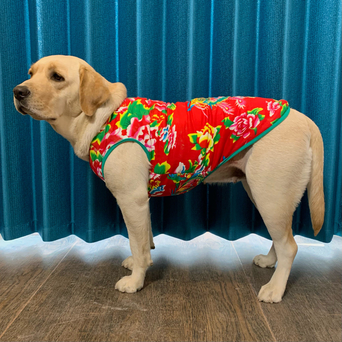 奶茶宠物狗背心春夏季潮喜庆东北大花大小型衣服狗宠物服装