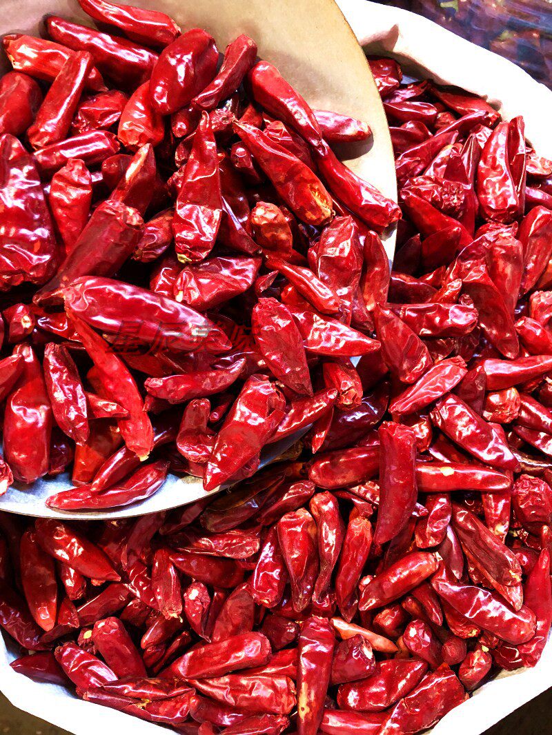 河南新一代子弹头250g中辣超香红辣椒海调料调味品火锅辣椒粉料