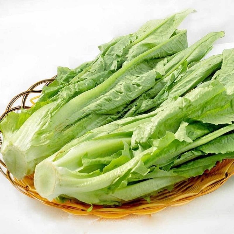 现采现发新鲜油麦菜机蔬菜生鲜叶类农家自种叶菜类