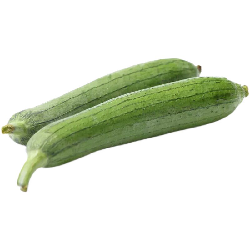 丝瓜密云云本时令新鲜蔬菜农家种植肉丝现摘丝瓜