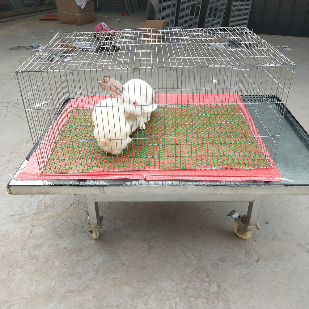 鸡笼兔笼小鸡鸟笼养鸡家用大号养殖育雏田鸡笼笼子