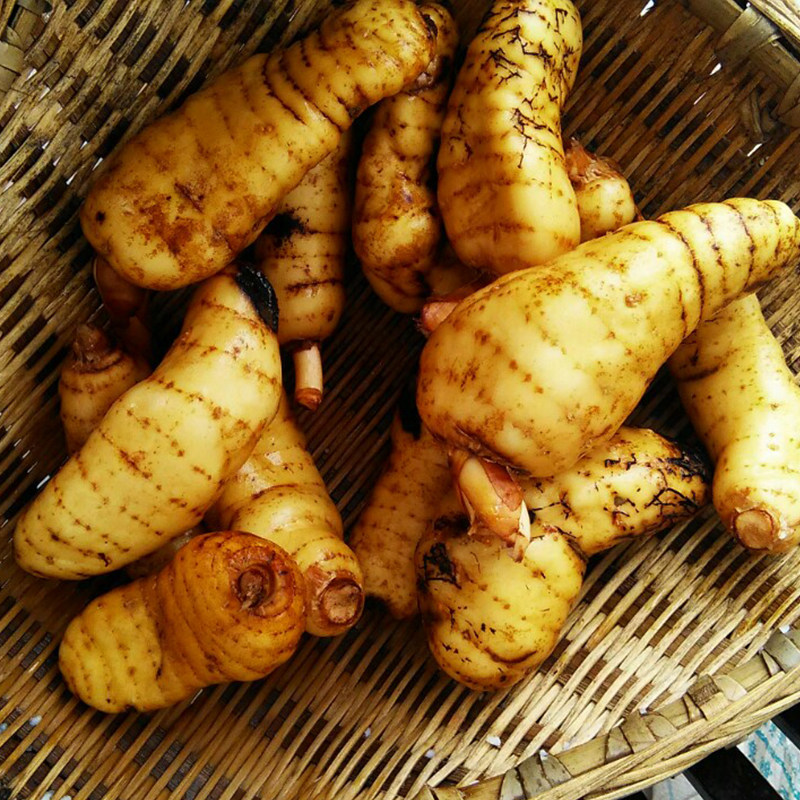天麻深山老林天然纯野野生干货无硫特级中药材片磨天麻